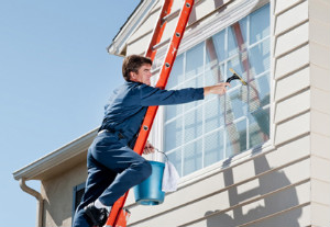 Windows Cleaning