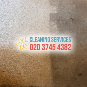 carpet steam cleaning