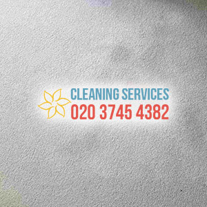 professional carpet cleaning