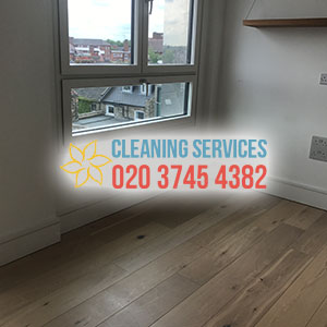 domestic cleaning london